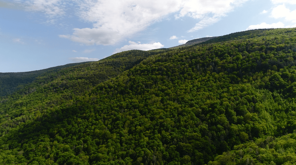 phantom 4 pro filming the catskills